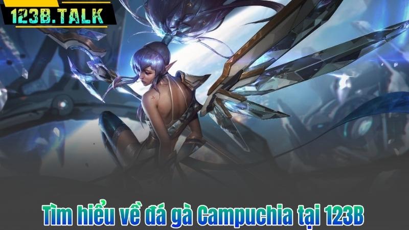 Tìm hiểu về đá gà Campuchia tại 123B